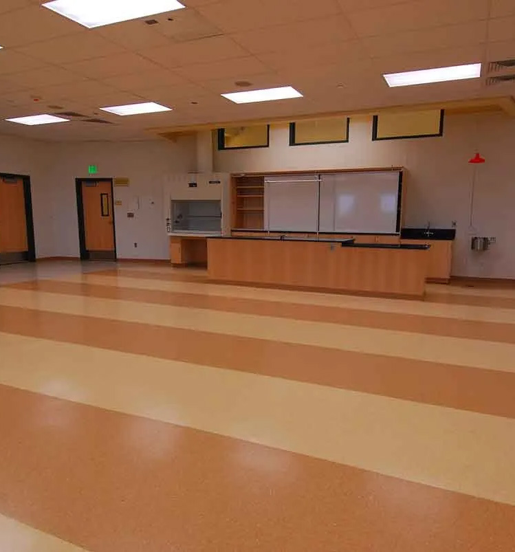 Vinyl Flooring for School, Hanford, CA