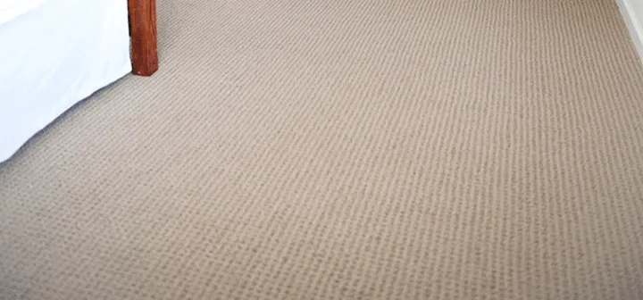 Closeup of beige carpeting