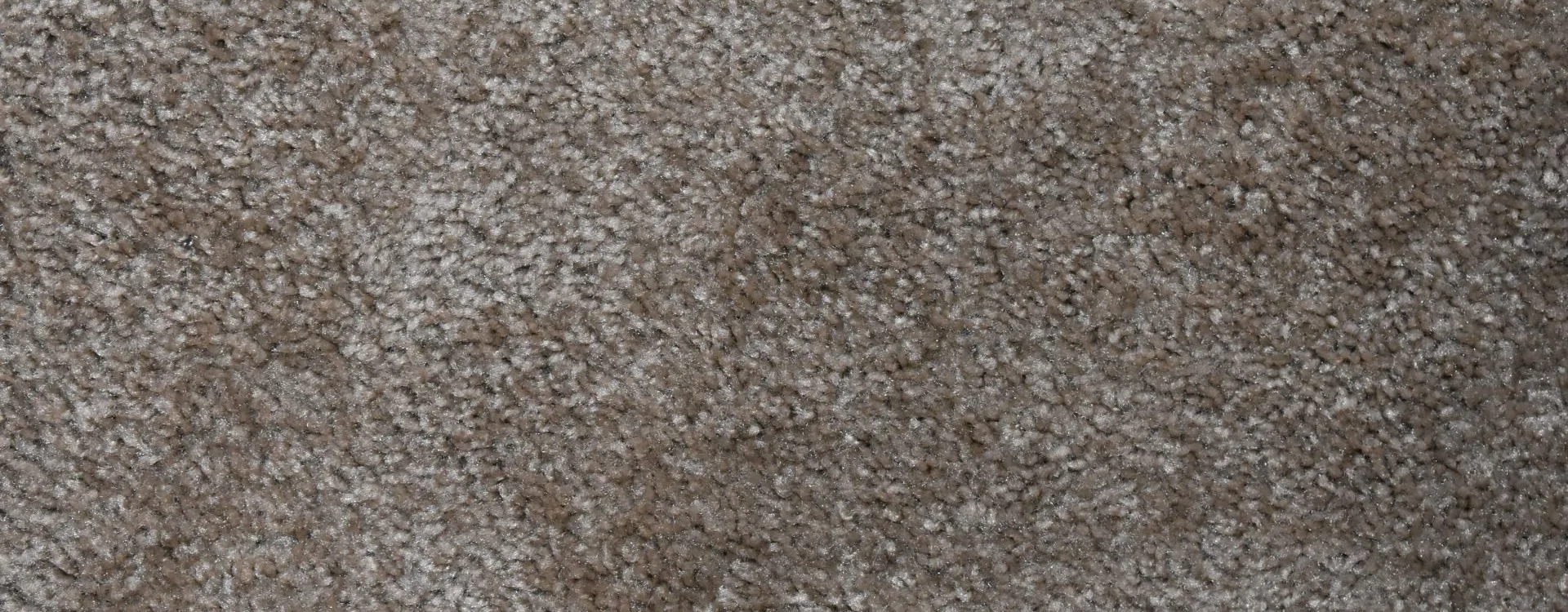 Closeup of light brown carpeting