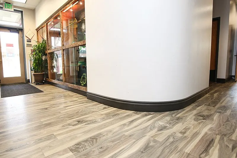 Waterproof flooring in entryway, Lemoore, Ca